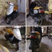 منغولي نثية • نضيفه • سلف