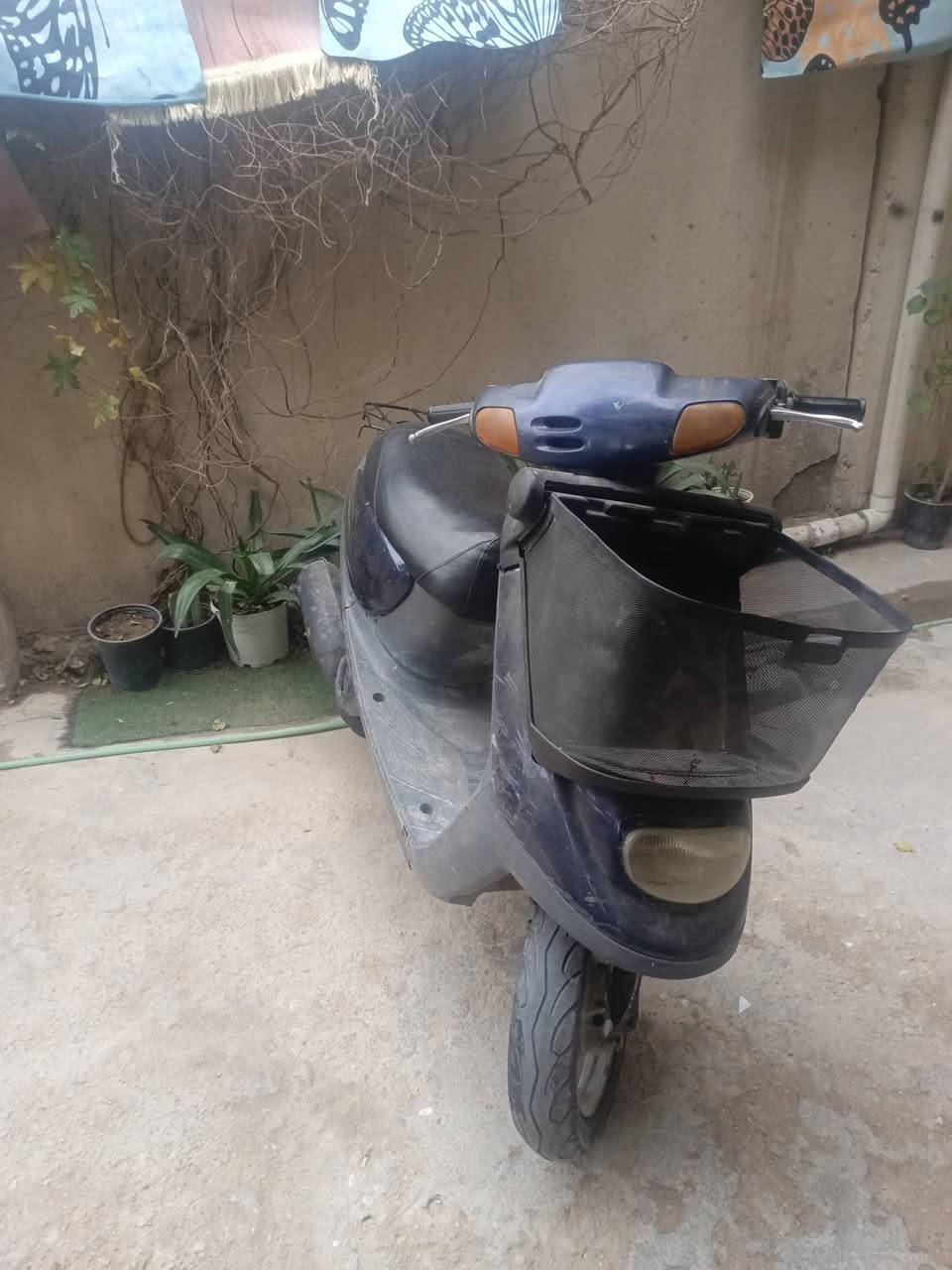 سلام عليكم دراجة منغولي ام السلة مديل
2003 دراجة حلوة أو نضيفة نقصه باتري وشوته فقط هندر واحد الدراجه سعره 225 وبيه مجال ***********
