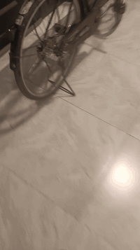 السلام عليكم عندي بيسكل للبيع بيسكل نضيف فول رزانه موديل 16 سعر 75بي مجال مكاني  كركوك طريق بغداد يم بولي ڤارد الرقم ***********💯
