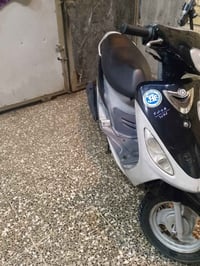 منغولي • الزعفرانيه بغداد • حالة زينة