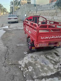 ستوتة • موديل 19 • أوراق كاملة