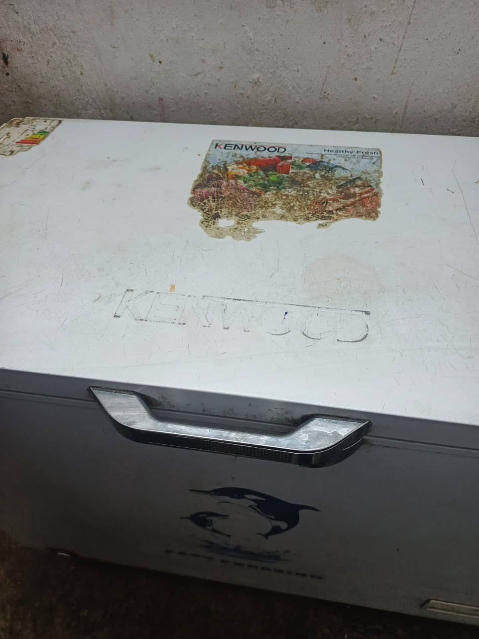 مجمده فول تجميد سعر 150عله فحص


**إذا كنت صاحب هذا الإعلان وتريد حذفه لأي سبب، رجاءا أرسل رسالة إلى الدعم الفني**