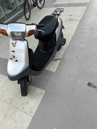 ماكس ثعلب • أبريو • سعر مناسب