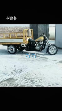 ستوته • مكفولة • ماشي قليل