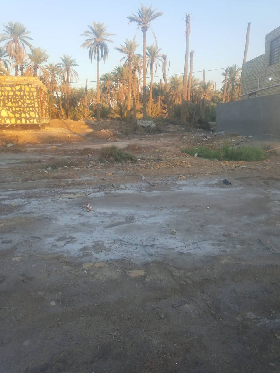 عرصه طابو زراعي سند 25 المساحه ٤٥٠ متر خلف مظيف الشيخ ابومالك عباس ال سعيد الكاع بسمي مداور ثاني يوم 
تبعد عن الشارع العام تقريبا ١٥٠ متر ماي وكهرباء موجوده 
السعر ٣٣مليون لاتصال على الرقم ***********
