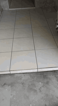 خلفه سيراميك متفرغ
شغل نضيف وعل ضمان 
عل متر ويوميه 
العنوان بصره 
***********واتساب
