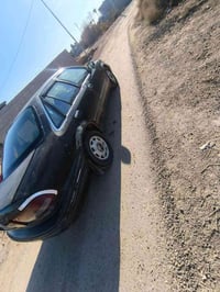 برنس • ١٩٩٥ • الفلوجة الحلابسة