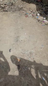 البلديات الضباط الثانيه • ١٠٠م • ٥م×٢٠م