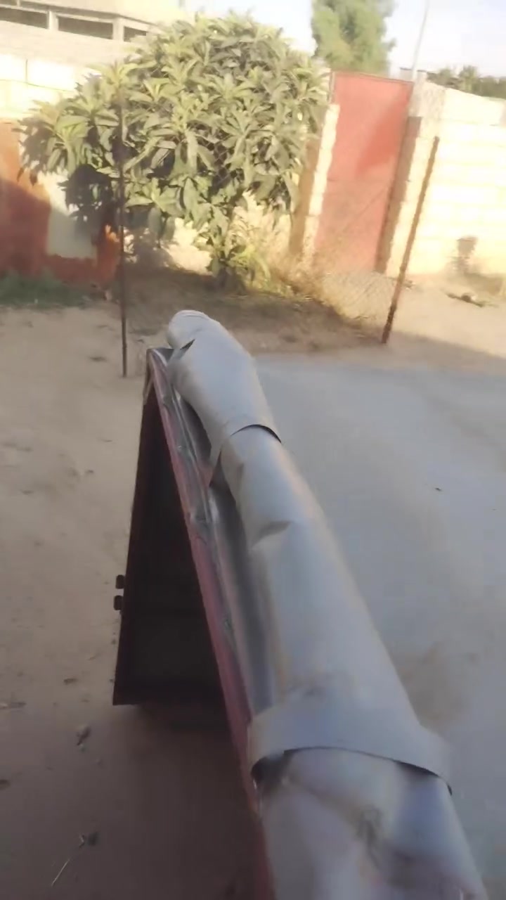 السلام عليكم ورحمة الله وبركاته 
محجل ستوتة للبيع شرط الحديد والفصال 
مكان مشيرفة 
***********
***********
