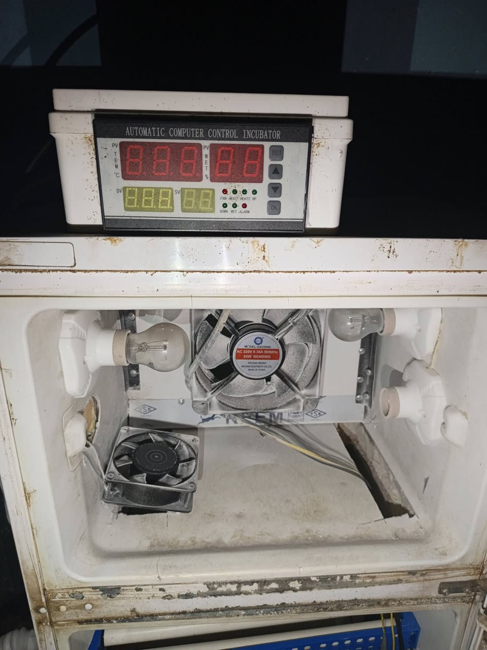 للبيع فقاسه اوتماتيك ثلاجه جاهزه كلشي  شغال تشيل 200بيضه دجاج السعر خاص


**إذا كنت صاحب هذا الإعلان وتريد حذفه لأي سبب، رجاءا أرسل رسالة إلى الدعم الفني**