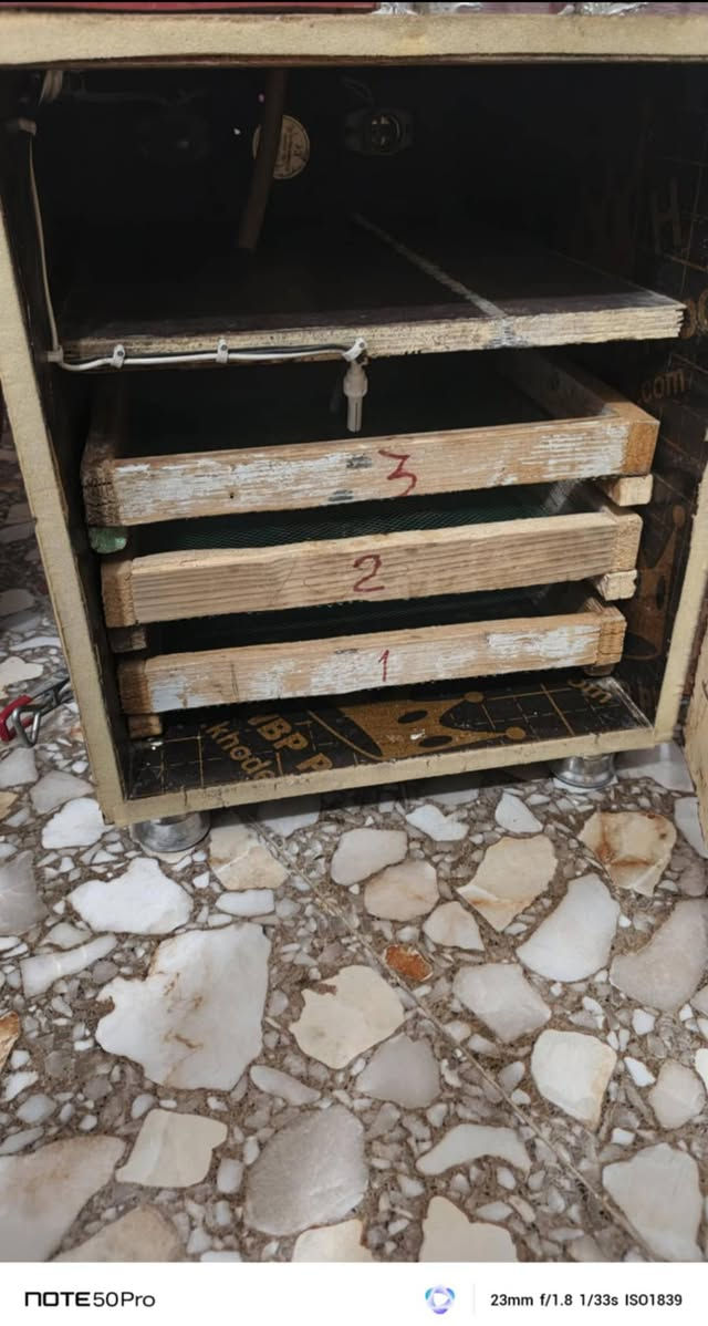 السلام عليكم #متاح فقّاسة مثل ما واضحة بالصور
نسبة التفقيس 100% ما دام البيض مخصّب
تقليب يدوي
جهاز قياس رطوبة
داخلها مصابيح عدد 2
جهاز قياس الحرارة أوتماتيك تفصل عند درجة حرارة 37.5°
إضافة الماء من الخارج من دون فتح باب الفقّاسة
تاخذ 150 بيضة دجاج كل رف 50 بيضة
شيء عملي و مُربح لأي شخص يحب يشتغل بيها كمشروع صغير و يسترزق و يستفاد منها لأن ما تحتاج أي خبرة فقط تقليب و متابعة
#السعر #الخاص_مفتوح
العنوان / صلاح الدين / قضاء بلد


**إذا كنت صاحب هذا الإعلان وتريد حذفه لأي سبب، رجاءا أرسل رسالة إلى الدعم الفني**