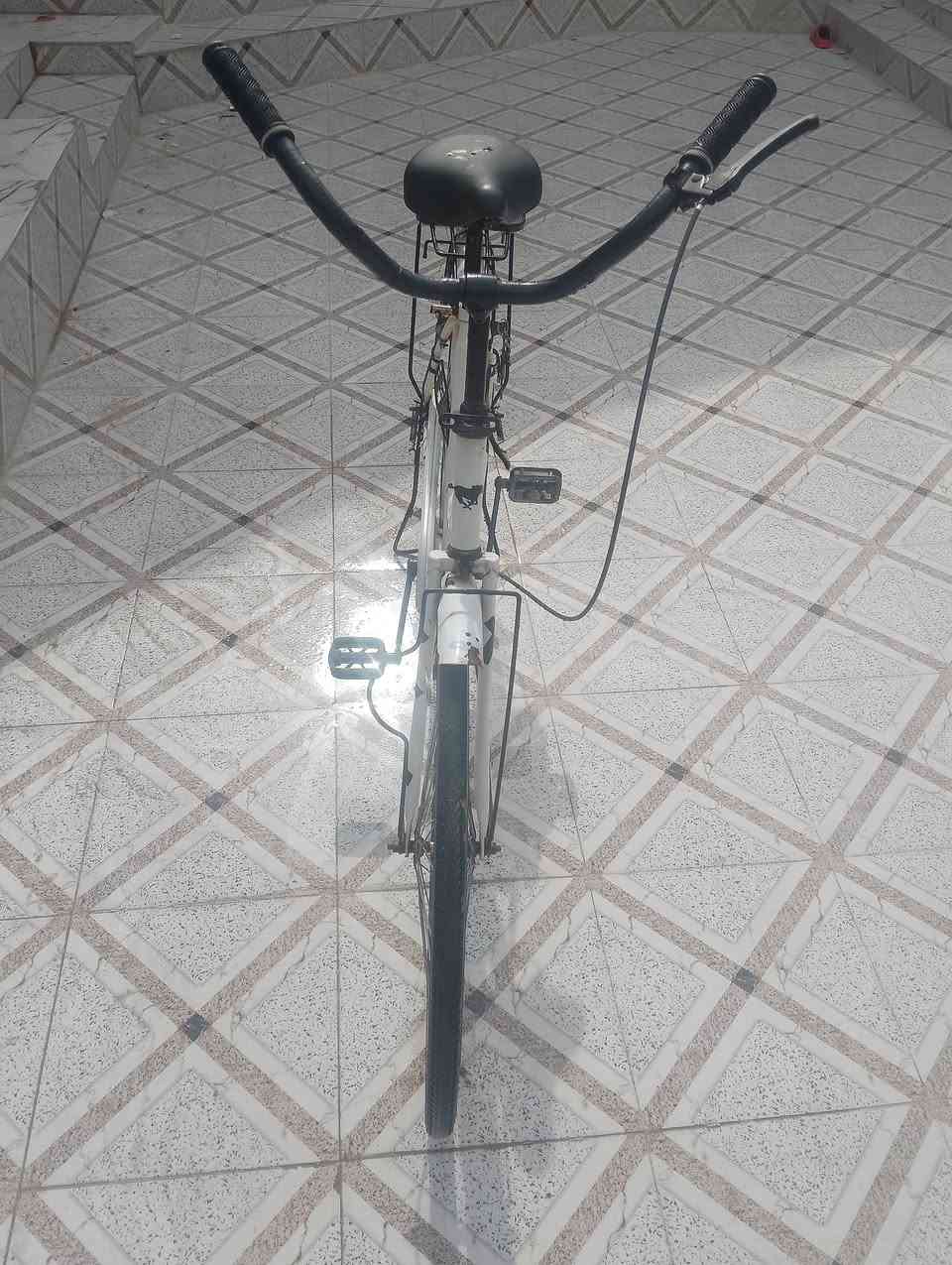 سلام عليكم بايسكل للبيع او للمراوس حجم 26 السعر خاص


**إذا كنت صاحب هذا الإعلان وتريد حذفه لأي سبب، رجاءا أرسل رسالة إلى الدعم الفني**