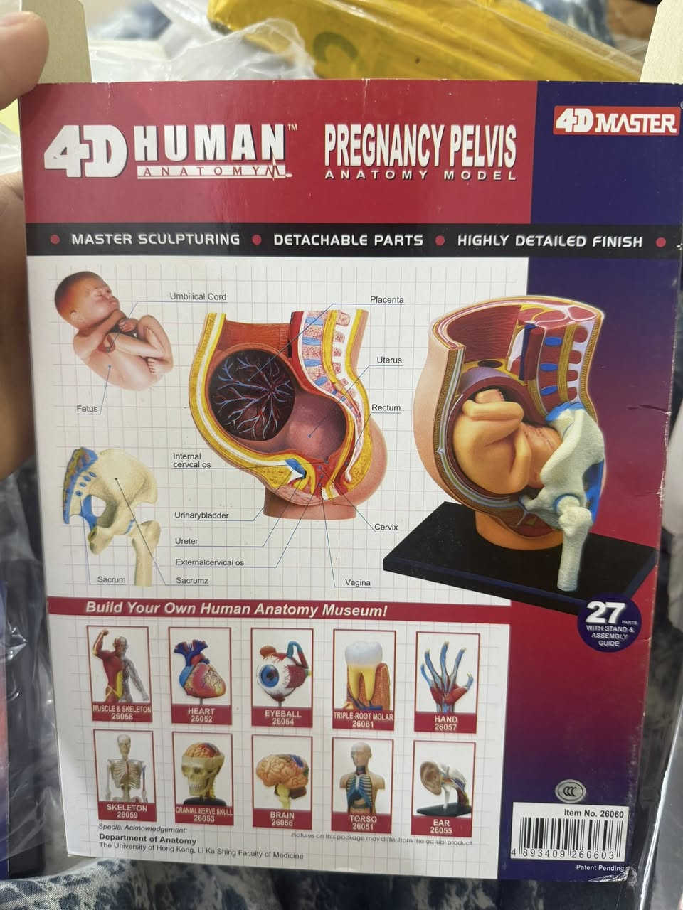 سلام عليكم طلع عندي هاذه المجسم منو يفيده


**إذا كنت صاحب هذا الإعلان وتريد حذفه لأي سبب، رجاءا أرسل رسالة إلى الدعم الفني**