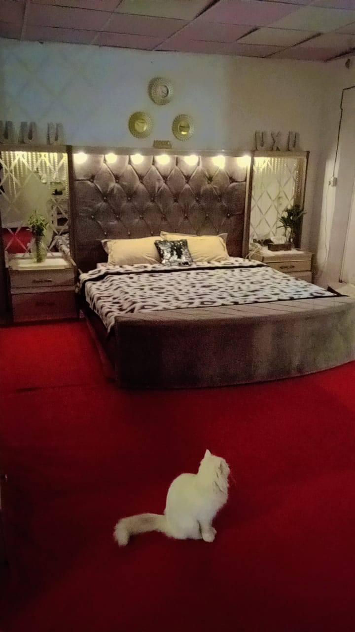 غرفه تركيه للبيع
ماخذتها ب3 مليون . 

اريدها ب مليون  وبيها مجال للتفاوض تركي باب اول اصلي ثقيل نضيفه كولش .مكانها (بغداد الاحسينية) .

نجارها موجود وعنده توصيل داخل بغداد فقط

الكاربد للبيع 

قياس 4×6

السعر 50


**إذا كنت صاحب هذا الإعلان وتريد حذفه لأي سبب، رجاءا أرسل رسالة إلى الدعم الفني**