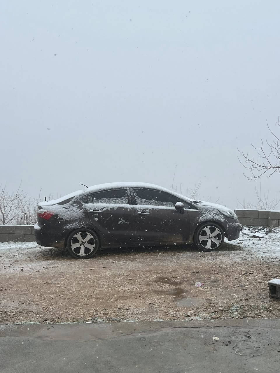 کیا ڕیۆ 2011 بئ سەرەتا ساخ ساخ  گێڕ عادی گێڕو مەکینەی بەشەرت
شوێن هەلەبجەی شەهید 
بۆزانیاری زیاتر 
***********
سعر ٥٥
