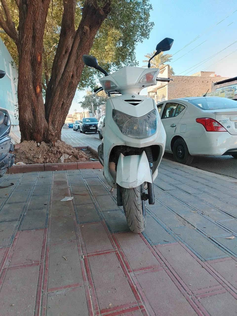 من رخصة مدير الكروب
سكنس فحل نوزل البيع الرقم /*********** /العنوان الكاظميه
السعر 600 /الله يحفظكم
