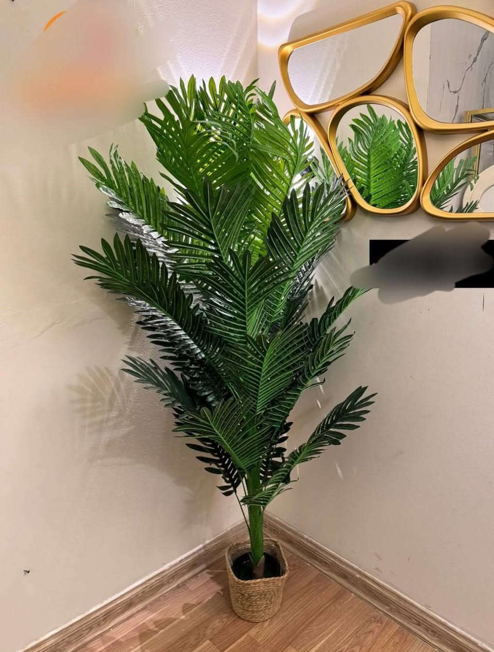 سنادين زينة من شركة الودق للأثاث المنزلي


**إذا كنت صاحب هذا الإعلان وتريد حذفه لأي سبب، رجاءا أرسل رسالة إلى الدعم الفني**