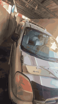 ستاريكس • ٢٠٠٧ • مكفولة