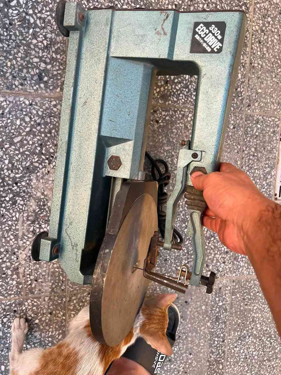 منشار اركت ياباني ١١٠ فولت ب٧٥ الف


**إذا كنت صاحب هذا الإعلان وتريد حذفه لأي سبب، رجاءا أرسل رسالة إلى الدعم الفني**