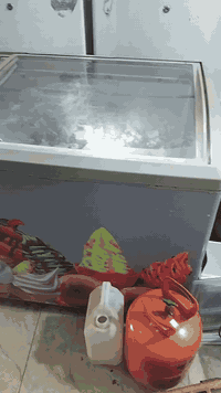 عارضه ايكور تركي شركة الزان
16قدم تجميدها خير من الله العنوان بغداد مدينة الصدر وات ساب ***********
