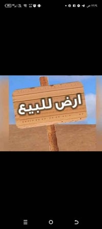 محيزم٢ • ١٠٠م • طابو