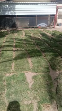 ‬‏يوجد خدمت توصيل لجميع المحافظات ويوجد كادر لتجهيز الحدائق لطلب ولستف...