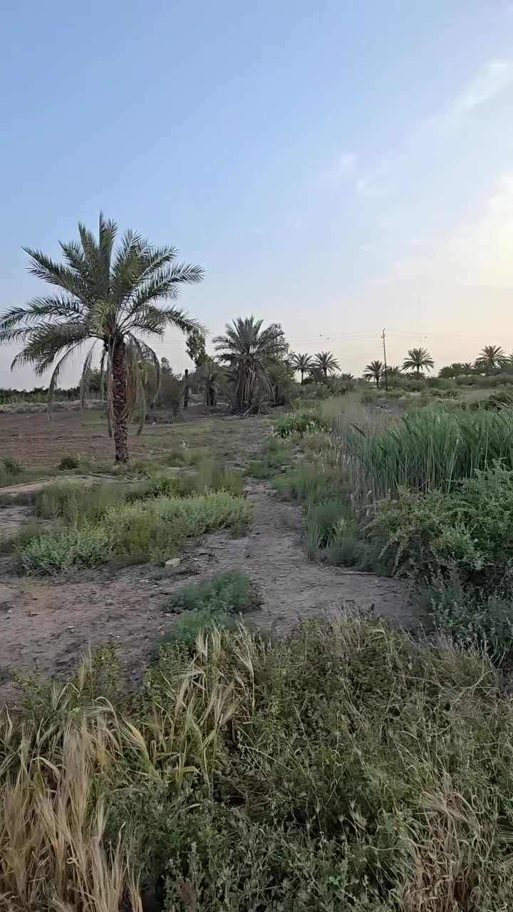 سلام عليكم للبيع  ارض زراعية استثمار او سكن مخدومة ماء كهرباء وتبليط  مساحة ٨ دونم قرار ٣٥ 
مكانها بغداد اليوسفية عرب جبور
 للتواصل خاص او واتساب 
***********
