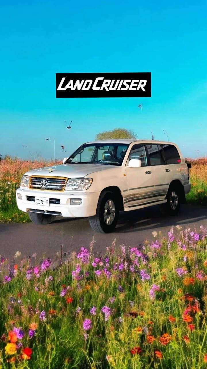 مۆنیکا ۲۰۰۰۰
ڕەقەم ئەصڵی بغداد 
ئاڕمی سلێمانی پلاستیک 
غەڕامەو ئەوەلیات بەشەرت 
مەکینەو گێڕ وئەکسڵ بەشەرت 
کراوەتە غاز . غازی ایطاڵی زۆر کەم دەخوات 
عام نیە بە عام دەیفڕۆشم 
سەیارەیەکی زۆر قیت و جوانە نەکەوتووە ماڵی دۆستە فول عادیە شاشەیە و تەبریدە جوابی نامە نادەمەوە لە واتسئاپ نامە بنێرە ۰۷٥۰،۷۱٦۱۱٥٤ أربيل, العراق
