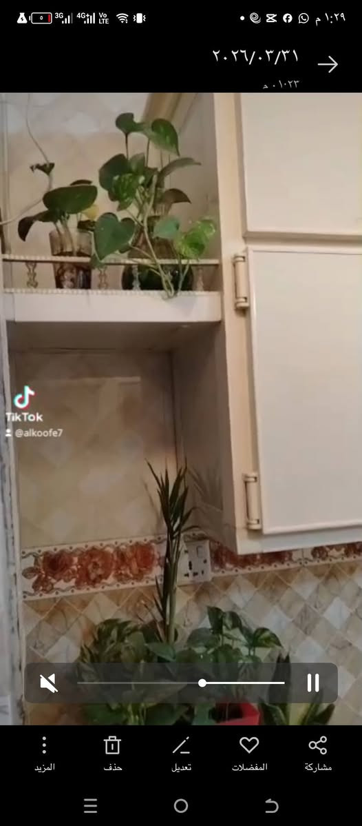 كاونتر تسكام درجه اولى اخو الجديد مكفول من الشخط....بمكان ماتسوي بمليونين هذا بمليون وميه وخمسين...
*********** النجف, العراق
