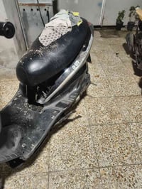 سكنس • ياباني • معلكة