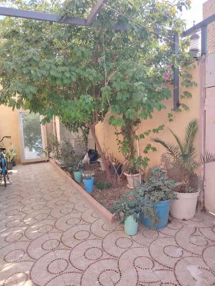 بيت لبيع طابو صرف حر في نهاية شارع البريد الحمزه الشرقي  ركن مساحه ٢٢٠ يحتوي ع ٣ غرف نوم وبراني وصاله كبار
بناء جديد سنه 2021
استفسار الرقم ***********
