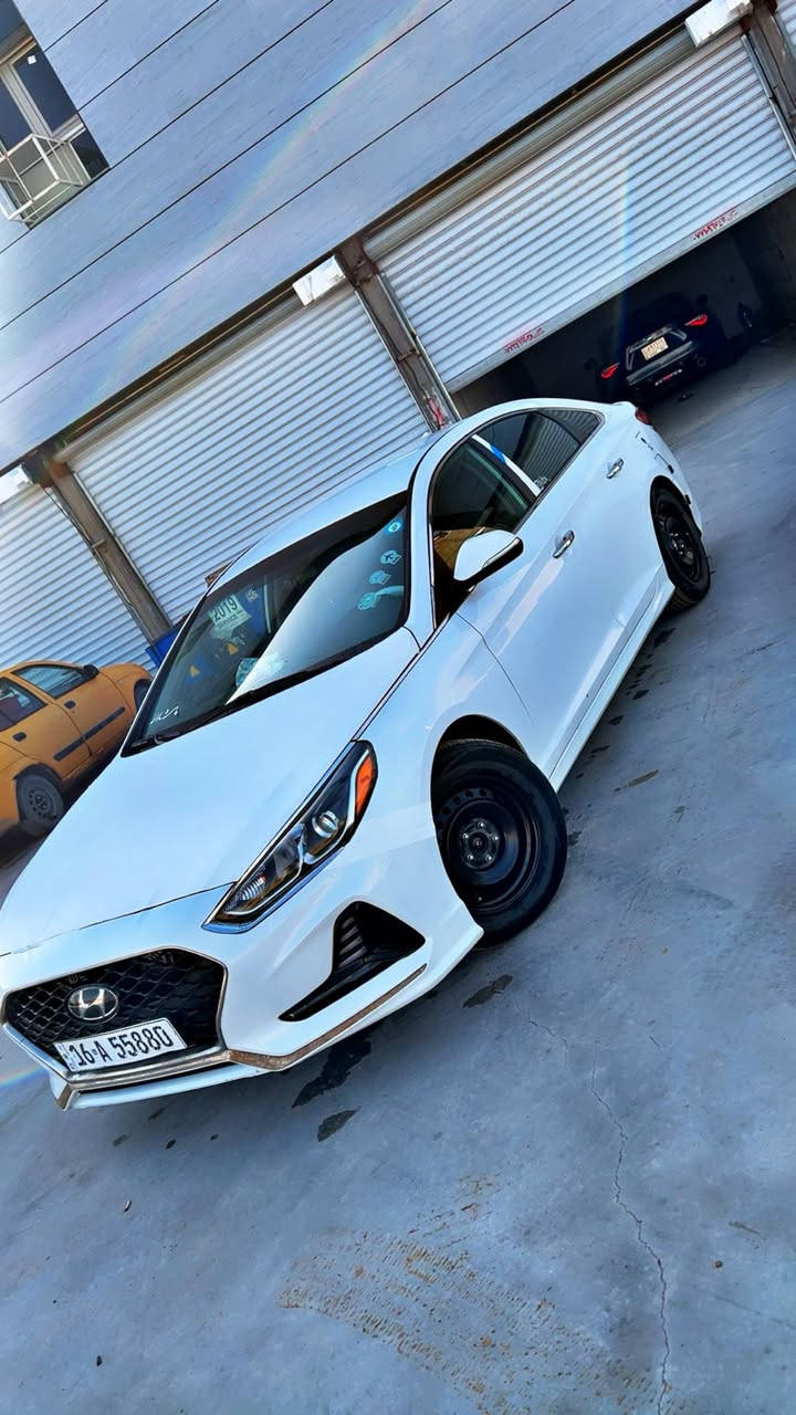 يالله ...
السلام عليكم ورحمة الله وبركاته...
هوندآي سوناتا 2018 دوانيه حرة سنوية جديدة وهزة جديده أرقام دولي مشروع وطني تحويل مباشر للمشتري . 
وارد أمريكي ضرر خفيف 
بارد بل داير مال جاملغ  وتكشير بدايه القماره وشوي بل بنيد بدون صبغ والباقي كفاله من الصبغ والتبديل والفتح. 
محرك وكير مكفولات حجم المحرك 2400 برغي ما مفتوح. 
جاهزه من حداديه وتواير وكهربائيات وغيرها . ماشيه 63 الف ميل ع وضع الشركة. 
مواصفات معروفه وحلوه شاشه كبيره كامره دواره شاشه ترحيب تحكم اربع جهات مثبت سرعه نظام سبورت ايكو بلاجكتورات لد شمعه لايتات زنون رموت حافظه رادار بالمري رادار خلفي  دسك أمامي خلفي  سياره جديده وجاهزه وع وضع الشركة مكاني بصره شط العرب الجزيره مركز للإستفسار أنتصل وبخدمتك  
سعرها ب 135 بيه مجال للشراي وانا بخدمه الجميع  *********** متواجد واتساب
