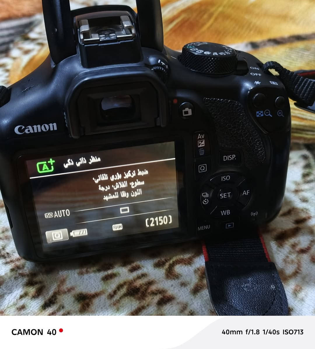 كامره كانون دي 1300 نضيف قليلة استخدام سعره 300 قفل مكاني واسط حي لحوراء لا يوجد توصيل


**إذا كنت صاحب هذا الإعلان وتريد حذفه لأي سبب، رجاءا أرسل رسالة إلى الدعم الفني**