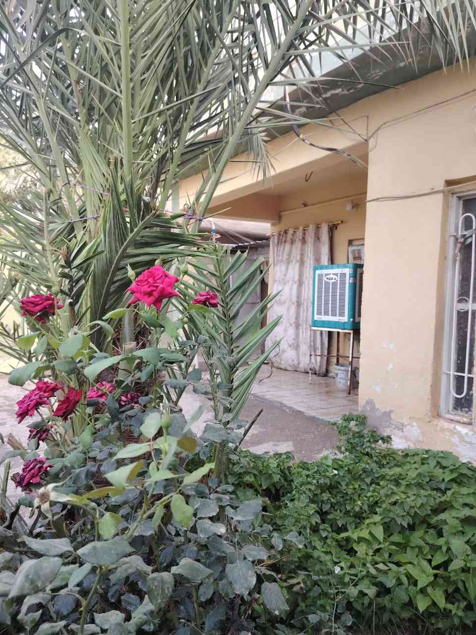 #عقار_للبيع
حي العسكري الأول نهاية شارع جامع الجوادين ع اليسار او خلف مدرسة رقية الابتدائية للبنات  
مساحة العقار ٢٥٢ م واجهة ١٣ونص
مقابل ساحة 
بناء طابقين كونكريت مسلح
الطابق الأول متكون من ( غرفتين + استقبال ٨ متر +مطبخ حار وبارد +صالة + مجمعين صحيات داخلية وخارجية+حديقة + كراج واسع ) 
الطابق الثاني متكون من ( غرفتين + صالة + مجمع صحيات + مخزن) 
البيت يحتوي ع سطحين
للأستفسار الاتصال على
*********** واتساب
***********
