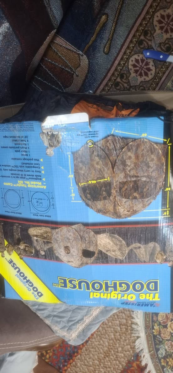 للبيع خيمه نوجه تصدير أمريكي القياسات متر ونص مربع السعر ٤٠ يوجد توصيل محافظات


**إذا كنت صاحب هذا الإعلان وتريد حذفه لأي سبب، رجاءا أرسل رسالة إلى الدعم الفني**