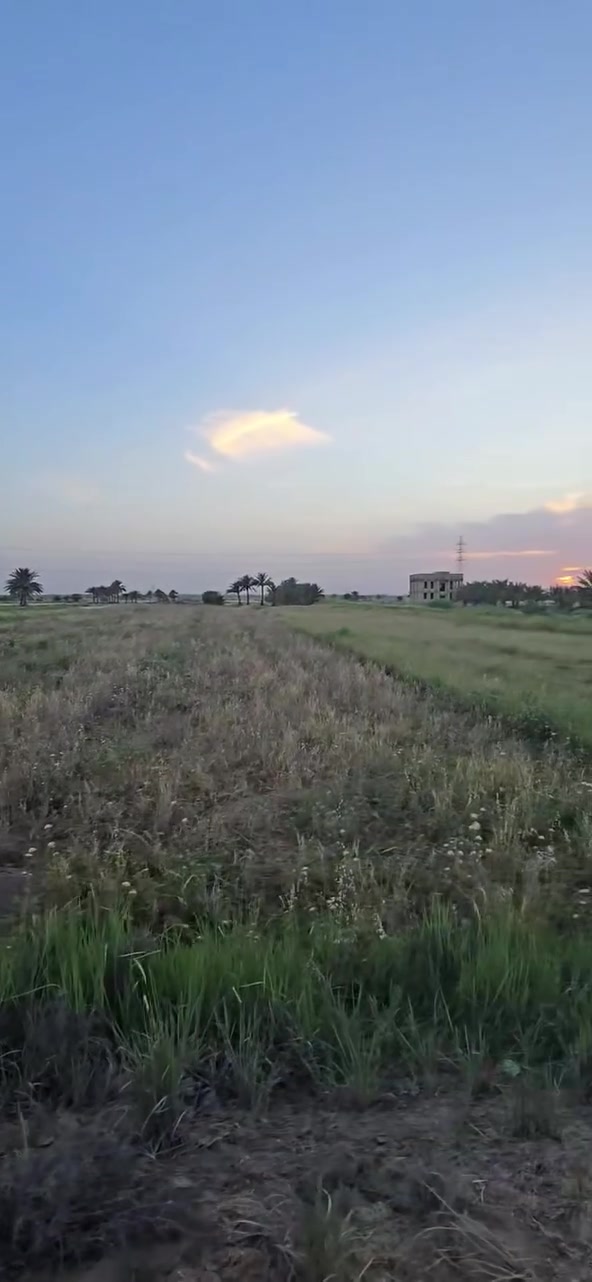 2 دونم للبيع 
طابو زراعي سند ٢٥
حله / قرب منطقة ابو عرايس 
***********
***********
