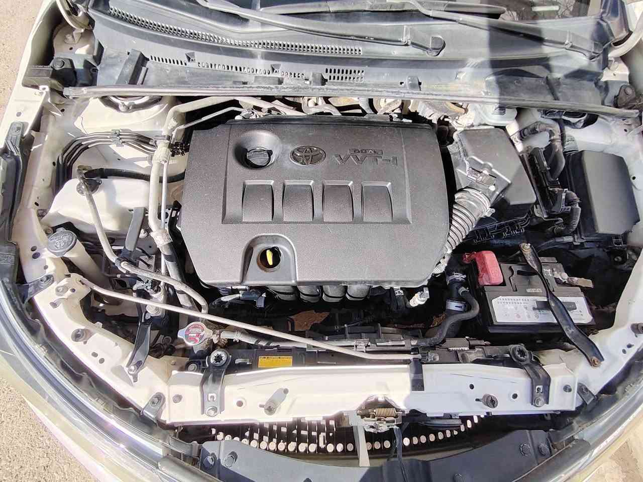 ✅اقرا المنشور وتفاصيل كلشي واضح 👇👇👇

✅(مكان السياره اربيل)
     (سونار بل منشور) 

(بيع نقد تابعني كل يومين انشر سيارات كامريات وكورلات) 

(كورلا موديل 2014 خليجية شركة عامه محرك1600 دبل حساس طيارة شرط محرك كير مكفولة

مكفولة كفالة عامه

كشن جلد داخل ملكي تحكمات داخل لونين 
ثلاث سويجات شركة سبيرها شركة طخم صدر شركة
برغي مامفتوح بيها 

ماشيه 127 كيلو متر 
 
السعر 138 وبيها مجال قليل اذا ماشري لا تتصل خويا 

اتصال فقط اتصل وتدلل 
~~~~~~~~~~~~~~~~~~~~~~~~~~~~~~
✅مكان السياره اربيل 
***********
***********
