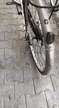 سلام عليكم بايسكل سياحي اللبيع سعره 55
ققل شركه بيدي 2 بايسكل عنوان بصره تميميه


**إذا كنت صاحب هذا الإعلان وتريد حذفه لأي سبب، رجاءا أرسل رسالة إلى الدعم الفني**