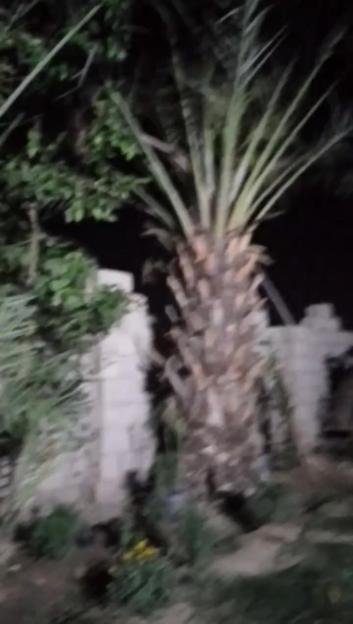 گاع مع بيت مع بتلو شمجره انواع الاشجار مع نخل بيهه بئر ماء واساله مع خط مولد وكهرباء خطين كاع فرعيه ركن. قريب من مزرعه شيخ ونس الجباره  الفين متر ***********
