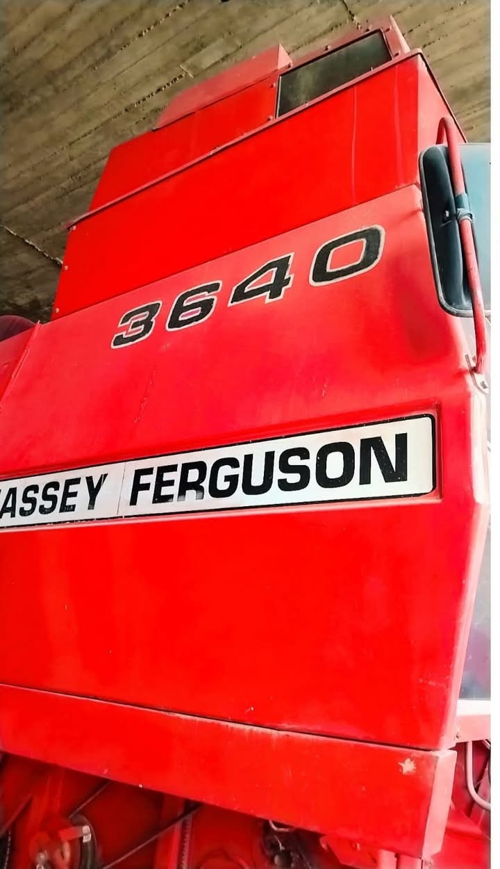 فوركسن 99 وضع شركة الاستفسار على رقم *********** كورك ***********
