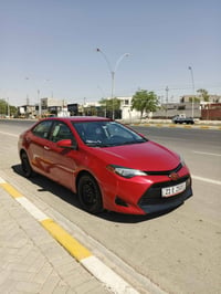كورلا • ٢٠١٧ • وارد كندي