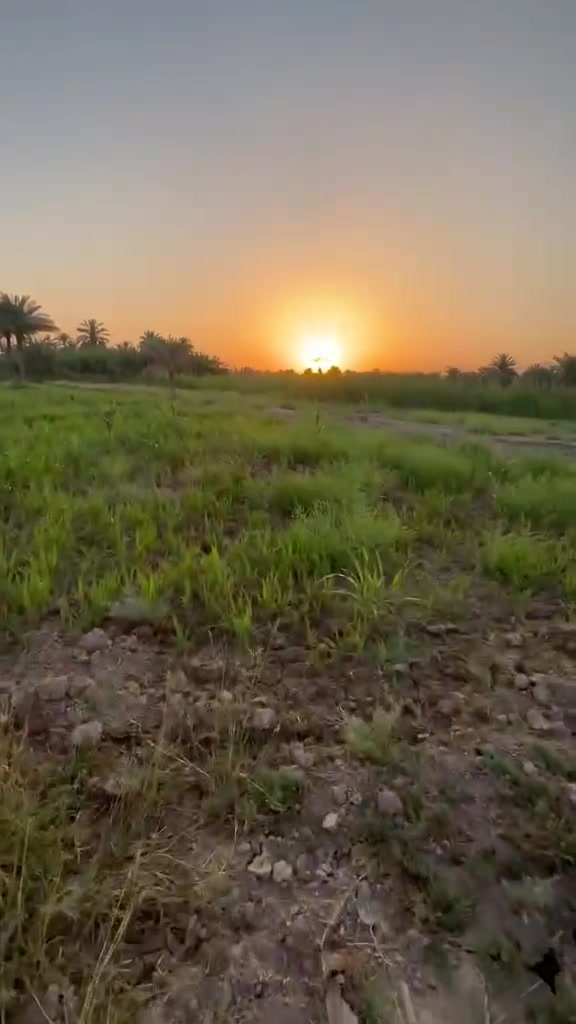 ارض طابو صرف  خمس دوانم المكان قرب محطة غاز القطنه  شارع الرابط  طويريج  مرقد بنات الحسن عليهم السلام.... سعر الدونم خاص الاتصال مباشر ***********
