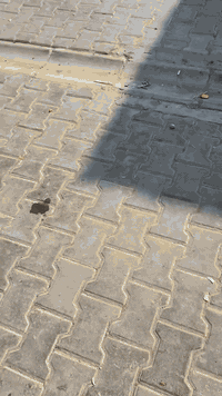 قطعة ارض سكنية في حي الكوفة الثانية موقعها له مدخلين الاول شارع الصورة  الاستدارة الثانية من فرع بيت شميل والثاني من فتحة الملعب قرب حسينية ام عباس قبل محطة الهدى بفرع مساحة  100متركاملة واجهة 5ونزال 20 سعر النهائي قفل ٣٨ اذا ميعجبك السعر اعبر المنشور التعليقات السلبية ترد سلبي 
***********
