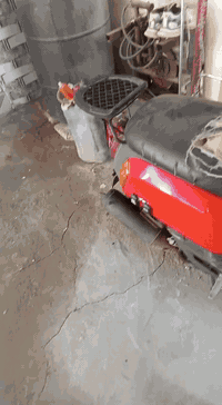 دراجه البيع ما مفتوح برغي بيه لاستفسار 07827957690