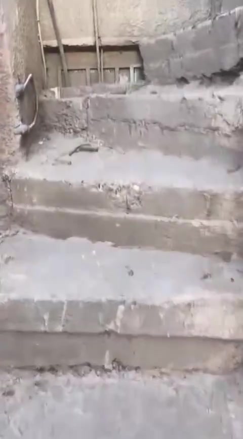 🏫 للإيجار مشتمل طابق ثاني معزول نضيف كلش🏫✅

✅يحتوي على 
1️⃣استقبال 
2️⃣ومطبخ
3️⃣وغرفه نوم 
4️⃣وخدمات
5️⃣سطح كبير

🥇الشعب - نهايت شارع الصحه 

🔒ايجاره300 قفل

جاسم الدراجي 
📲***********
حيدر الزبيدي 
📲***********
