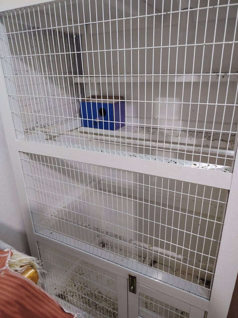 السلام عليكم قفص للبيع
تزكام امفصل يم نجار 
اريد ب120 وبي مجال


**إذا كنت صاحب هذا الإعلان وتريد حذفه لأي سبب، رجاءا أرسل رسالة إلى الدعم الفني**