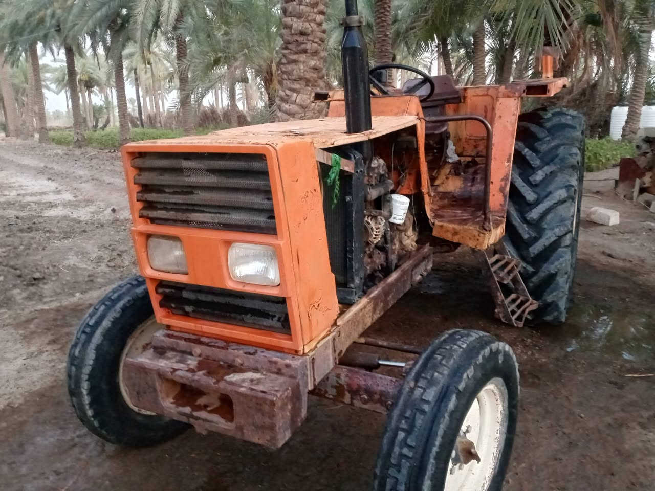 سلام عليكم
فيات للبيع ٧٨٠ موديل ٨٠ 

محرك مجفت جديد كير اكسل هيدروليك كهربائيات مكفوله السعر ٧وربع وبيه مجال 

***********
المكان بابل-حله  ورديه
