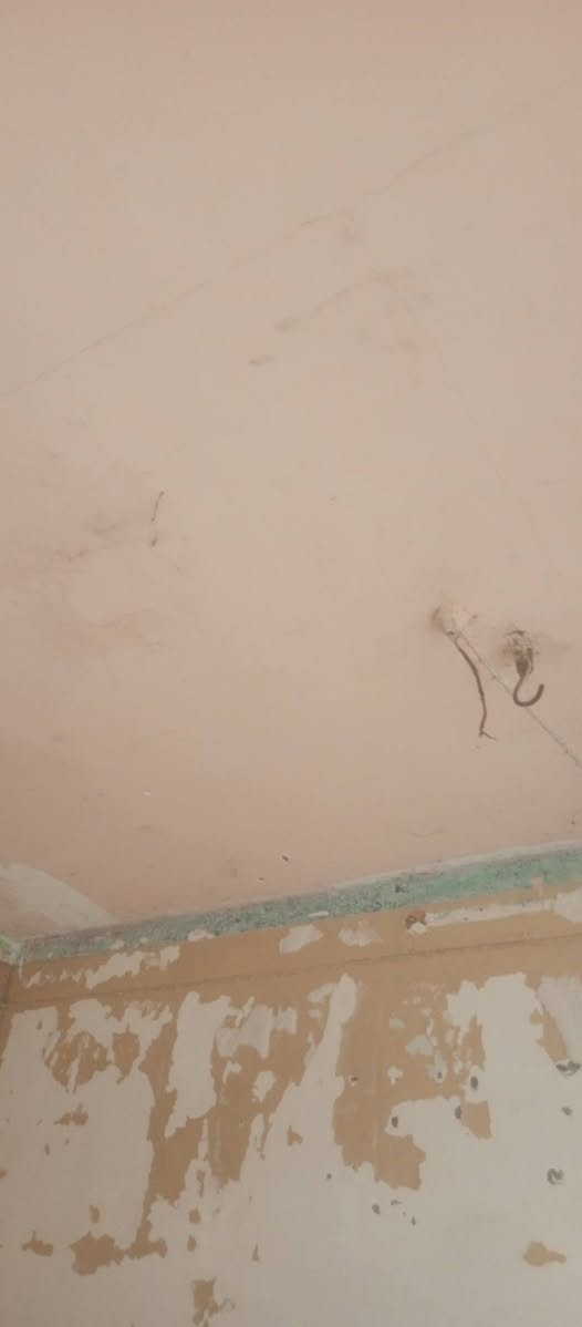 سلام عليكم كدر صبغين وخلفات سحب معجون وديطورات وصبغ بيبان حديد شبابيك حديد لستفسار *********** انتصل عله رقم وبي وشاب ولخاص مفدوح

