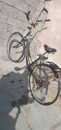 باسكل • نضيفه • واتساب