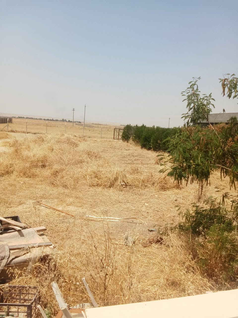 قلع دغل مزارع أو حدائق 

داخل كركوك 
تواصل على رقم ***********
